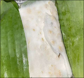 Tempe Mbah Sarjiyem Foto 1